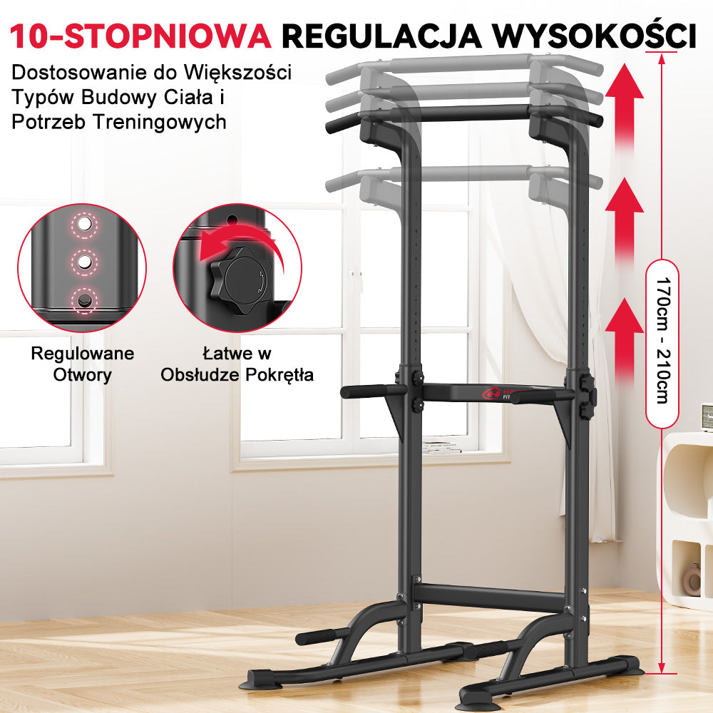 Power Tower Dip Station D1