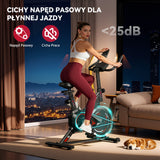 Rower Stacjonarny C1, Koło Zamachowe 6 kg