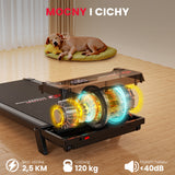 Bieżnia T7, Prędkość 1-6 km/h, 5% Nachylenia Ręcznego